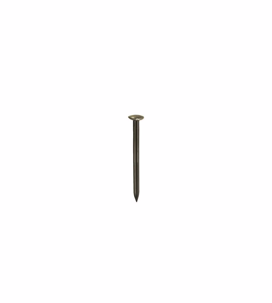 Chiodini Fissaggio Quadri 30 Pz Testa Ottonata 2,0 x 30 mm