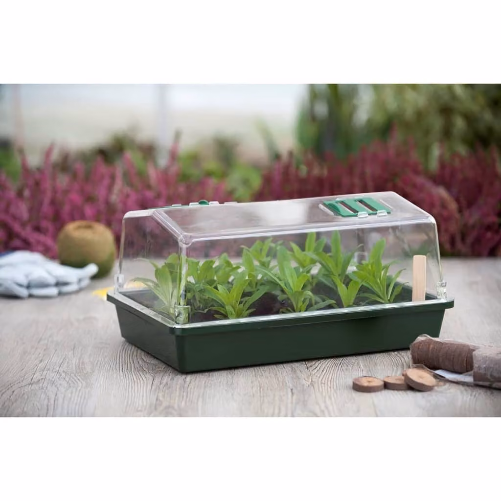 Cassetta a freddo Nature 55x31x21 cm
