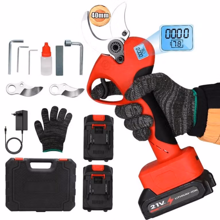Tagliabordi a batteria, motore brushless da 800W, regolazione della velocità con 2 marce, 2 batterie incluse, prodotto conforme agli standard UE
