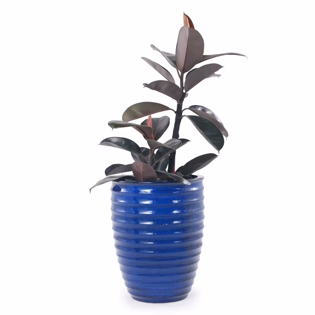 Vaso per piante Minimal in ceramica blu lucido con fori di drenaggio L: 42 cm, P: 42 cm, H: 54 cm – 2