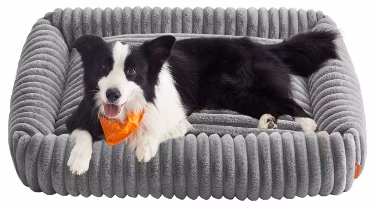 Cuccia ortopedica per cani Feandrea, grande, dimensioni 106 x 75 x 20 cm – Taglia L, 106 x 75 x 20 cm, colore grigio tortora