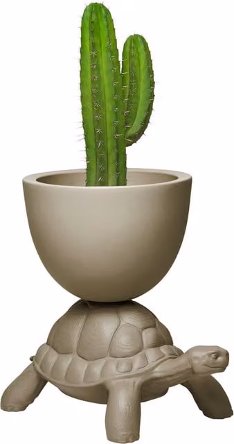Vaso da tavolo Qeeboo Turtle in polietilene grigio o beige