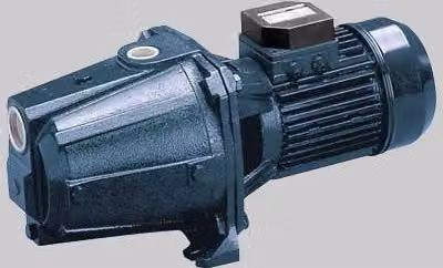 Elettropompa Autodescante Jet in Ghisa Aga 0,75 m Ebara