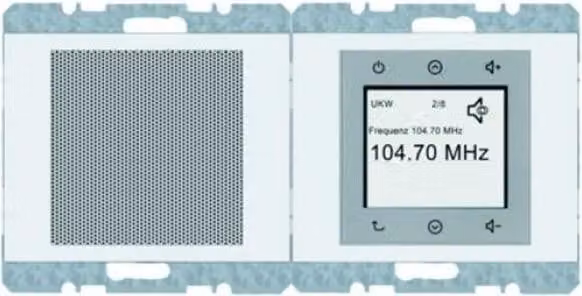 Berker K.1 RADIO DAB+/BT PW GLÄN (30807009 RADIO SET)