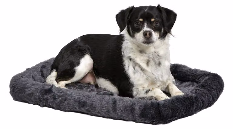 Omgoods - Cuscino grigio per cani, adatto per cucce per cani