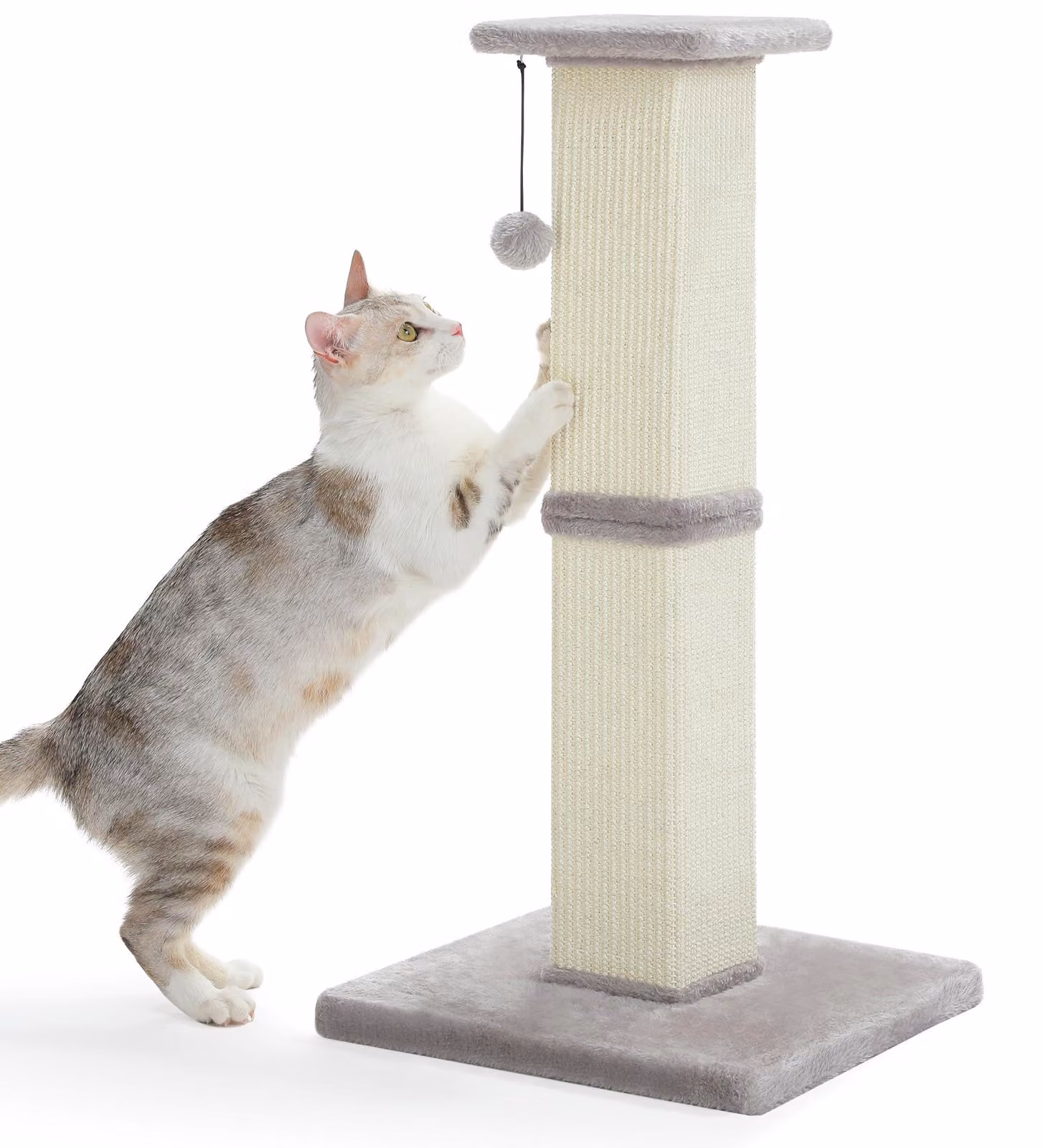 Albero per gatti da interno, alto 81 cm, rivestito in sisal