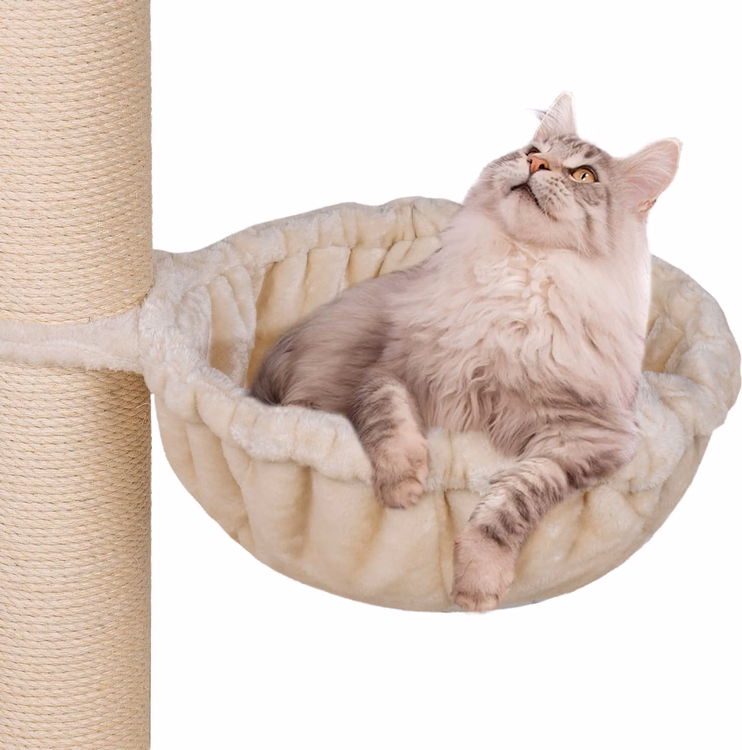 HAPPYPET Mangiatoia universale XXL per tiragraffi Ø 45 cm - mangiatoia per gatti grandi, Maine Coon, stabile fino a 20 kg di carico, mangiatoia per gatti, crema