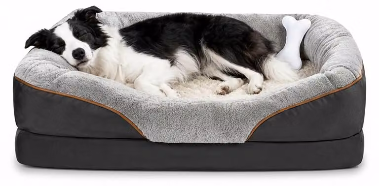 Letto ortopedico per cani, adatto sia per interni che per esterni - Realizzato in memory foam