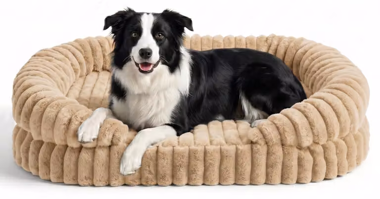 Cuccia ortopedica per cani, in memory foam, 90x65 cm, traspirante, adatta a cani di grossa taglia