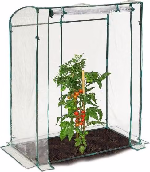 Serra per pomodori realizzata in plastica PVC