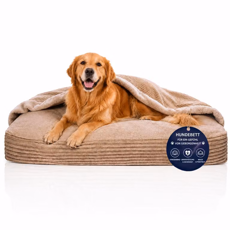Cuccia ortopedica per cani tipo tana, che allevia le articolazioni XL 100 × 80 cm, beige