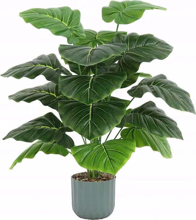 PIANTA ARTIFICIALE ALOKAZIA orecchio di elefante in vaso realistico 60cm KRZAK
