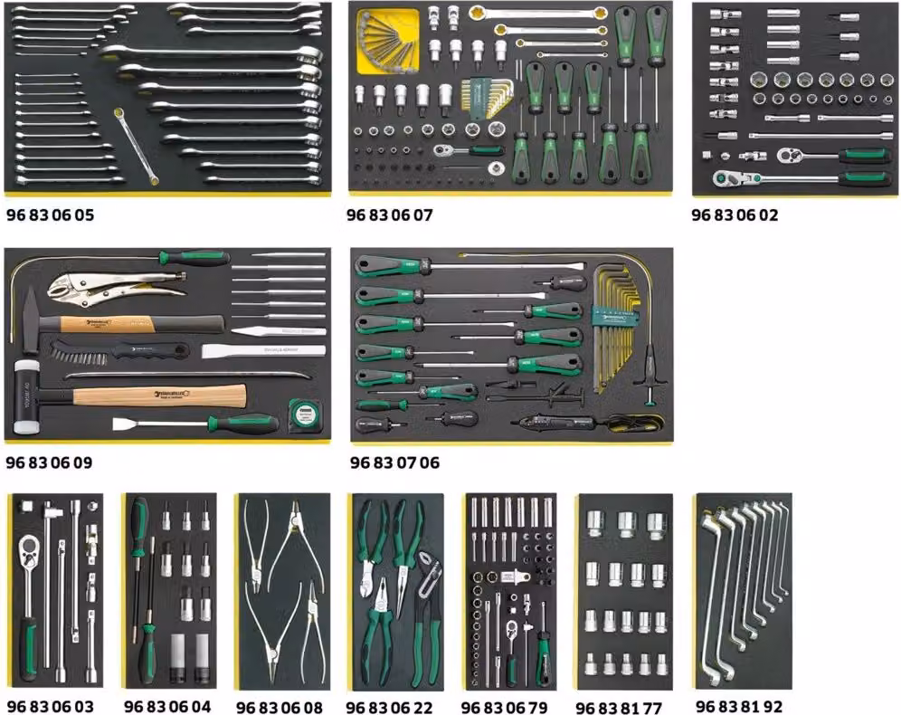 Assortimento di utensili Stahlwille Nel sistema di inserti Tool-Control 2500 TCS