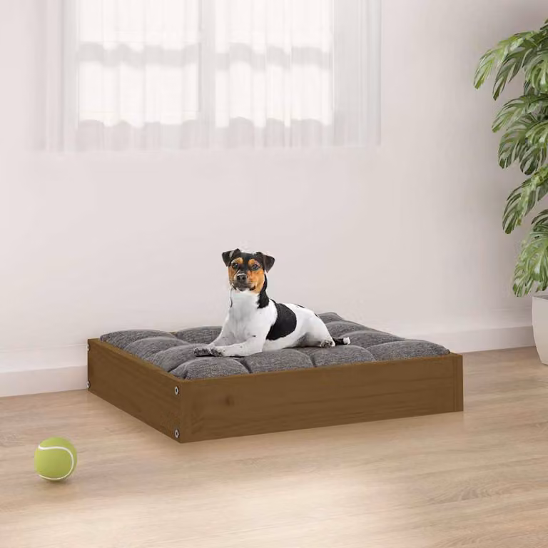 vidaXL Cuccia per Cani Ambrata 51,5x44x9 cm in Legno Massello di Pino