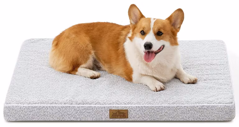 Cuccia ortopedica per cani di grossa taglia - 91 x 69 x 8 cm - Tappetino lavabile con copertina removibile