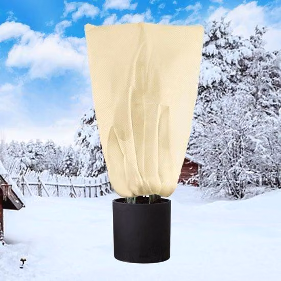 Tessuto non tessuto invernale per alberi, 250 x 360 cm, per palme con tessuto non tessuto protettivo da 80 g/m², beige, albero di limone, protezione delle piante e coperture per le piante da giardino in inverno.