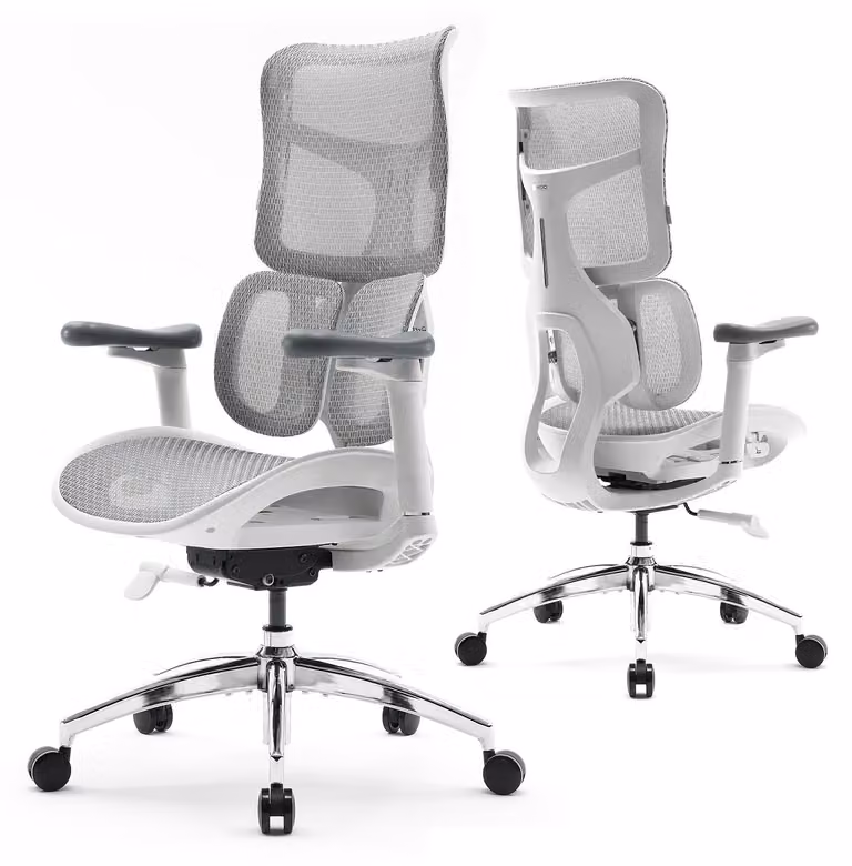 Sedia da ufficio ergonomica con supporto lombare dinamico a doppia regolazione e braccioli 4D - Sedia da lavoro regolabile