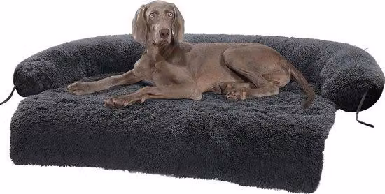 Cuccia per cani - Cuccia di medie dimensioni - Peluche - Cuscino in schiuma - Cani di taglia media - Protezione per i mobili - Lavabile in lavatrice - Grigio