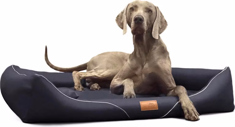 tierlando® Letto ortopedico per cani WILLIAM Easy-Clean | Divano per cani - Dimensioni: 130x100cm | Colore: 03 Nero
