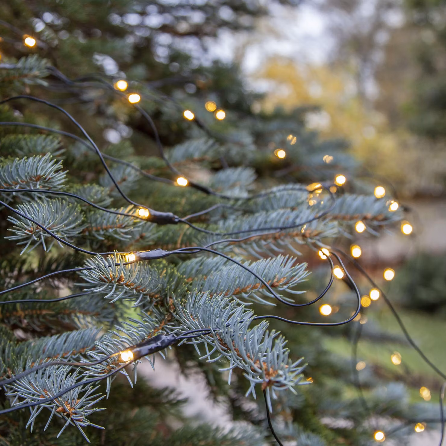 Sistema Decor 'Rete LED 2x1,5 m', per uso esterno