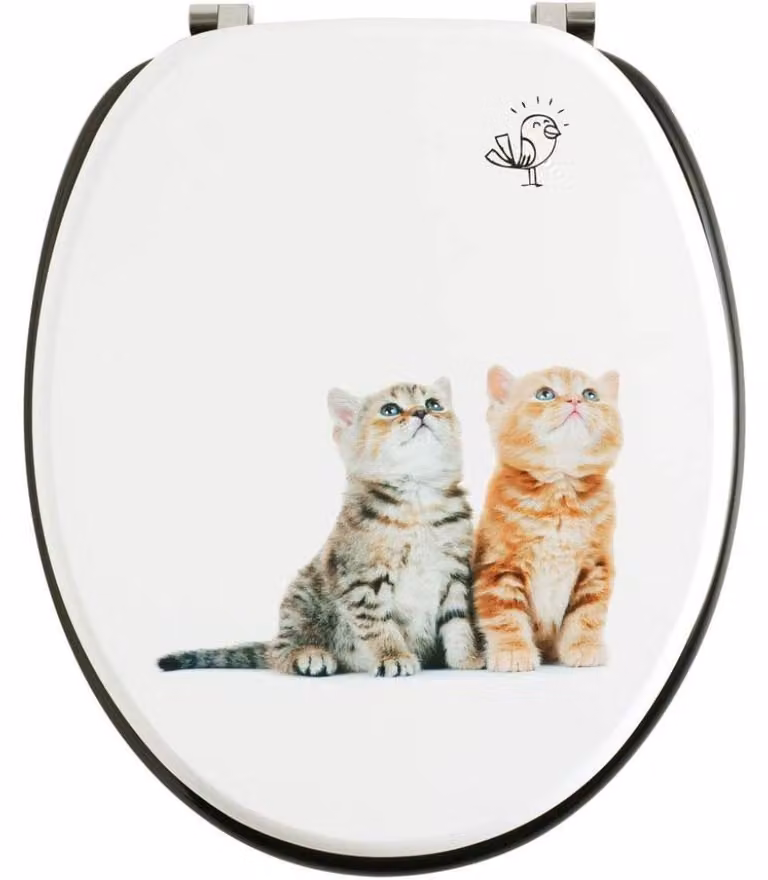 wirquin 20721504 sedile wc, gattini