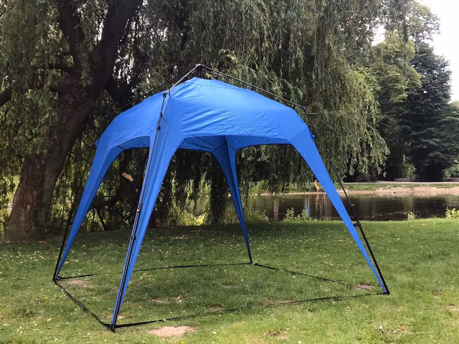 Gazebo pieghevole pop-up, dimensioni 250x190 cm, con pareti laterali