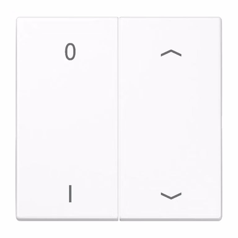 Jung ENOLS995P01WW Trasmettitore da parete wireless EnOcean con simboli 0 I e bianco alpino
