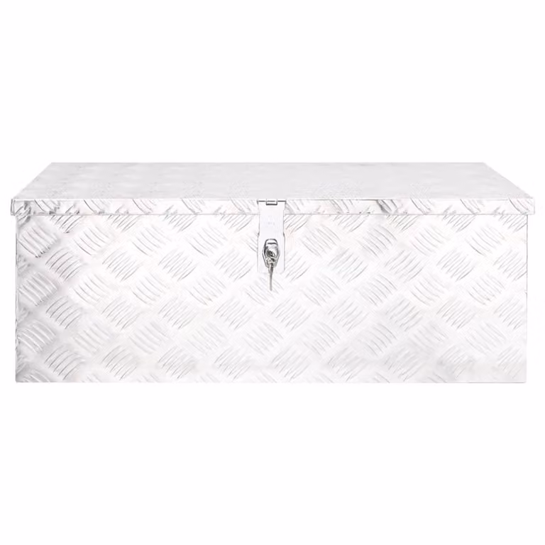 Contenitore Portaoggetti Argento 80x39x30 cm in Alluminio
