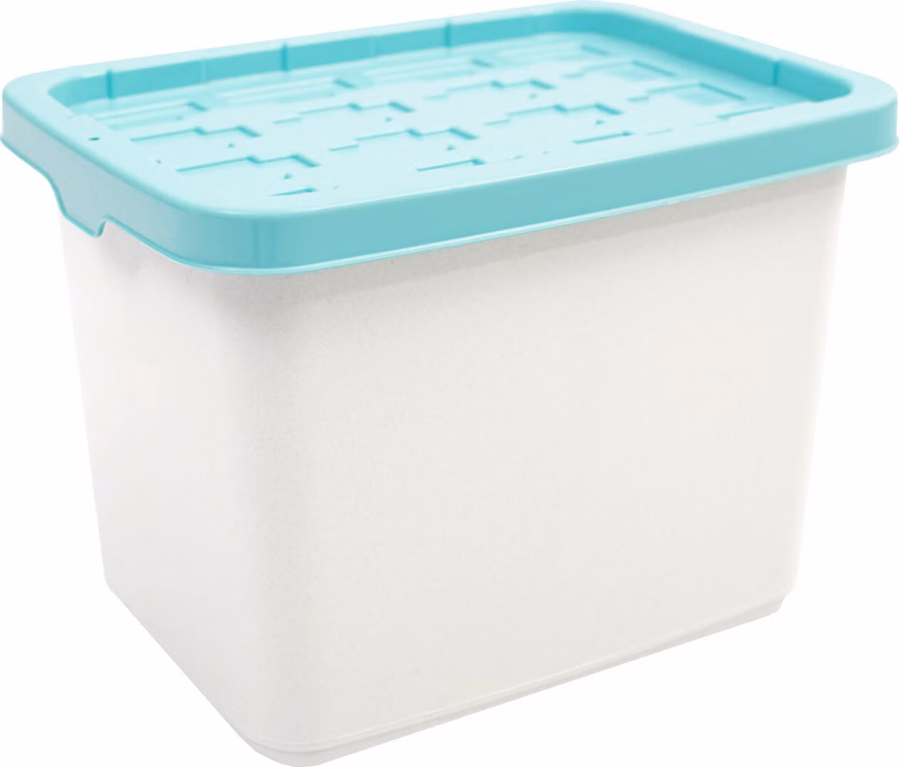Doloni Scatola di stoccaggio con coperchio 37x27x27 Bianco/Turchese