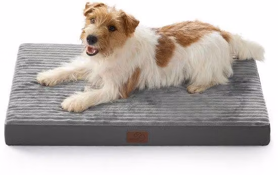 Cuccia ortopedica per cani di piccola taglia - Cuscino lavabile con fondo antiscivolo, tappetino per cani, grigio, 74 x 46 x 7 cm