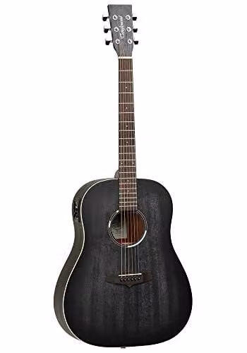Blackbird Sloped Dreadnought Elec Chitarra acustica: Chitarra acustica