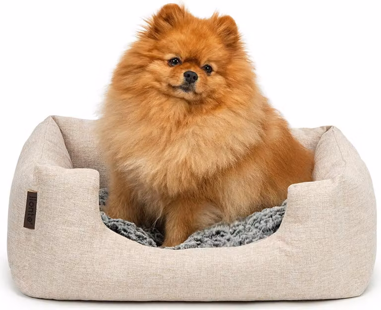 lettino per cani lionto, accogliente letto per cani con cuscino reversibile e rimovibile, base antiscivolo, 60x50 cm, beige
