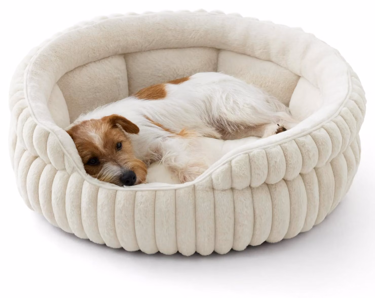 Cuccia per cani cucciolo lavabile - Letto per cani 66 x 66 cm - Pile a coste - Bordo rialzato - Antiscivolo