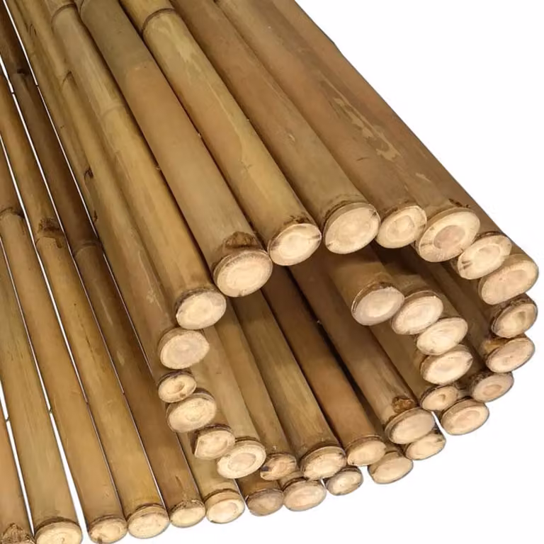 Rotolo di bambù naturale Tali Gigant 180 x 180 cm (recinzione in bambù)