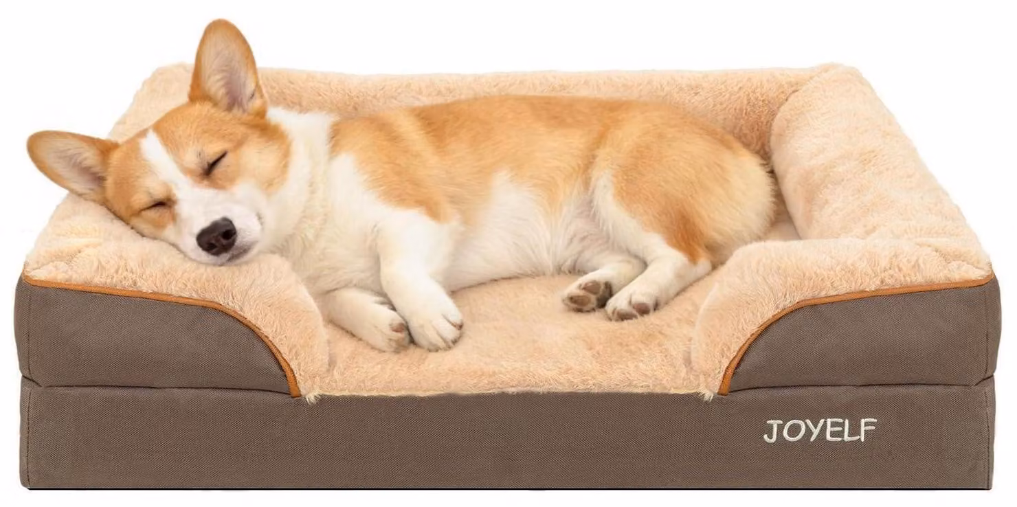 Cuccia per cani, divano in schiuma con cuscino e base antiscivolo. Colore: marrone. Dimensioni: lunghezza 70 cm, larghezza 52 cm, altezza 17 cm