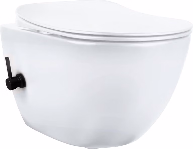 Vasina WC con funzione bidet – con miscelatore, bianco e nero, WC sospeso, WC sospeso