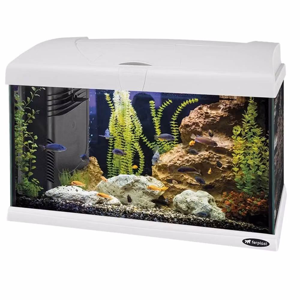Acquario Completo Ferplast Capri 50 LED Colore Bianco