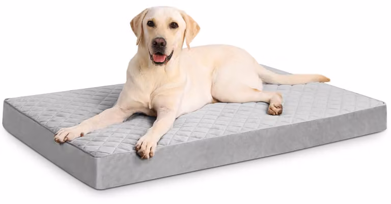 Cuccia ortopedica per cani di grandi dimensioni, impermeabile, con rivestimento removibile e lavabile