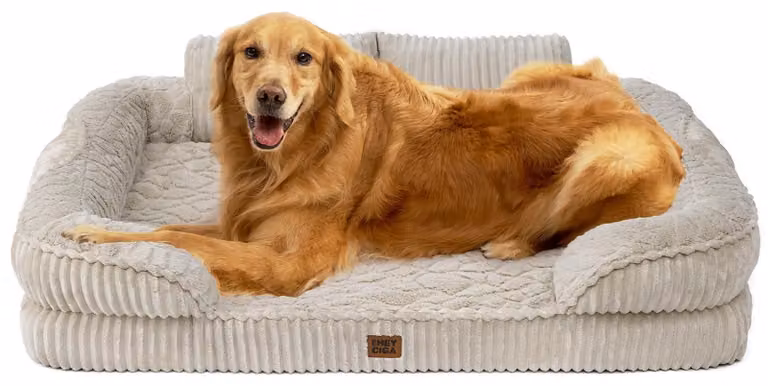 Cuccia ortopedica per cani, dimensioni 107 x 76 x 17,8 cm, realizzata in memory foam e tessuto in poliestere tipo velluto a coste