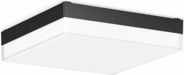 RZB Lampada da parete/soffitto a LED 312537.0031.730