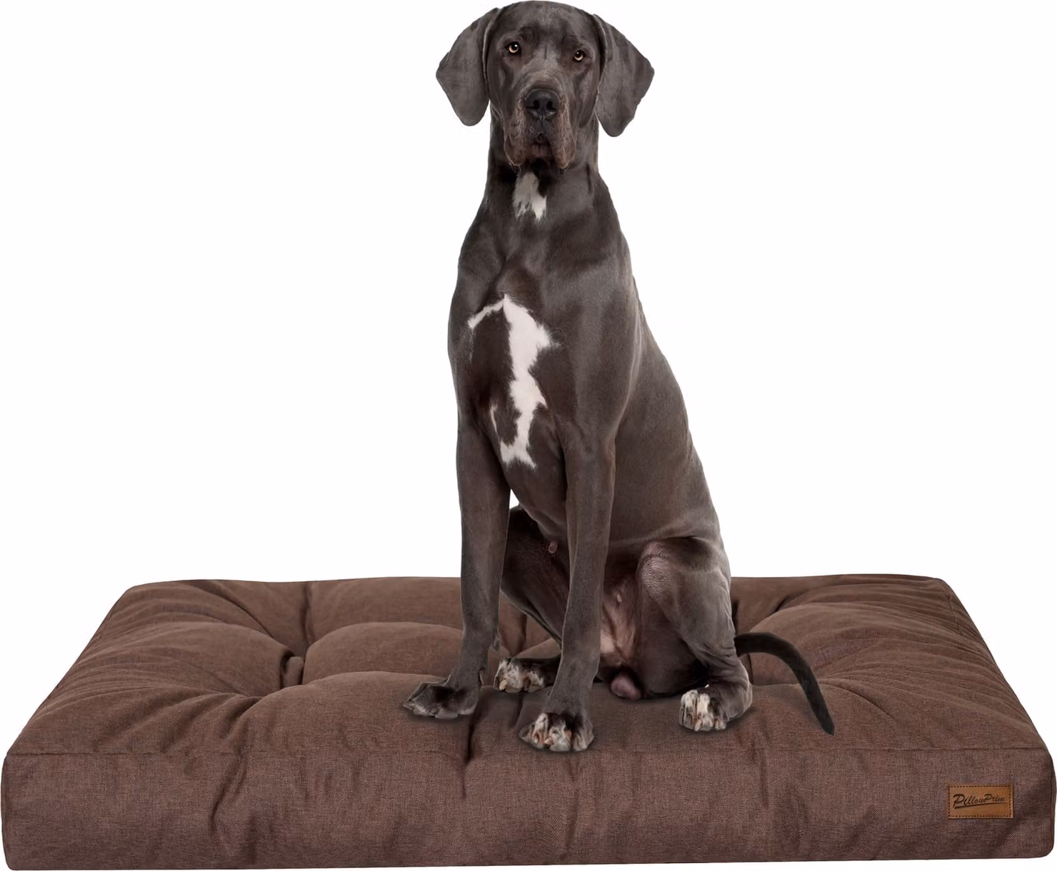 Materasso per cani "Grand Light" - 130x100cm - Cuccia idrorepellente - Rettangolare - Outdoor & Indoor | PillowPrim