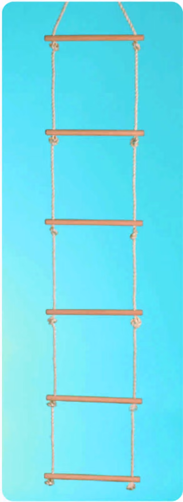 Scala a pioli 200cm 6 pioli in legno 100KG