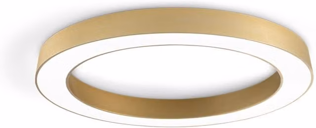 Ondaluce Globus Plafoniera o Sospensione LED Moderna a Anello, Disponibile in Bianco, Nero o Oro/Ottone