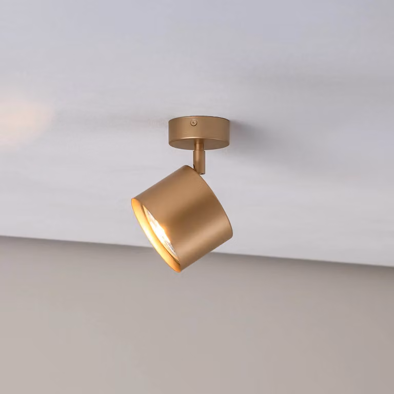 Faretto da soffitto Chloe orientabile 1 luce, oro Argon, dimmerabile, Ottone / Oro, Soggiorno / Sala da pranzo, Metallo, Moderno