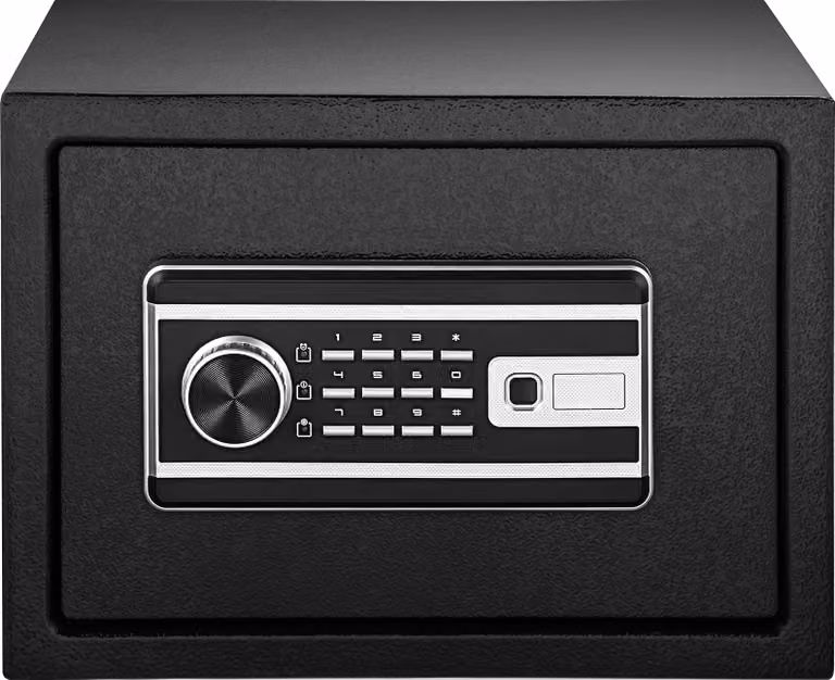 SucceBuy Safe, cassaforte per denaro da 0,8 piedi cubi con serratura a tastiera digitale e impronta digitale, cassaforte per la casa resistente al fuoco e all'acqua, con 2 chiavi per documenti, contanti e gioielli