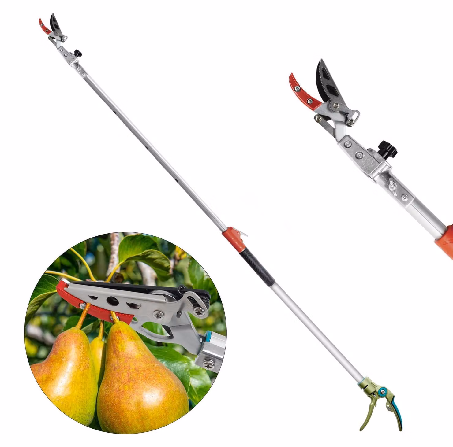 Solidchoice - Forbice telescopica da potatura con manico estensibile