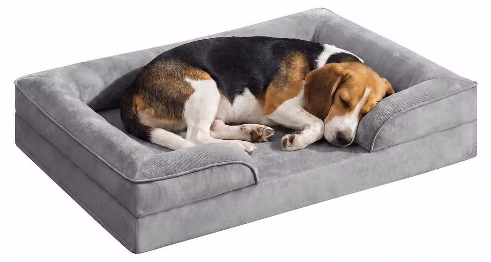 Cuccia ortopedica per cani, taglia L, con rivestimento removibile e bordi rialzati. Colore: grigio chiaro. Dimensioni: 89x63x16 cm