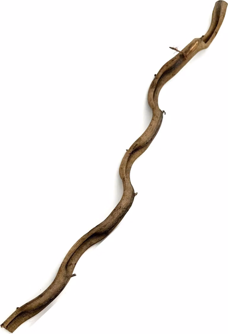 BioThai Liane 2-4cm/100cm