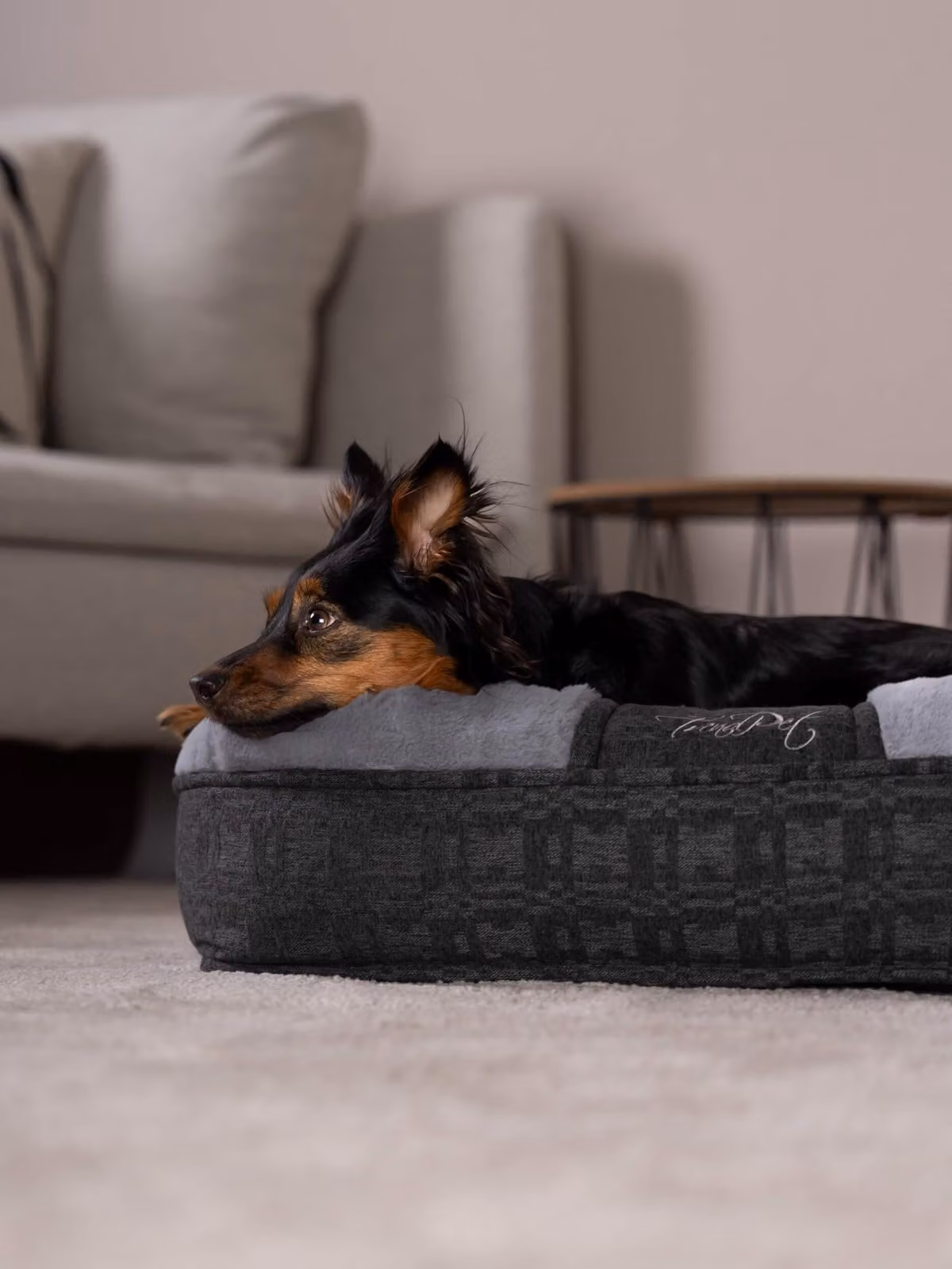 TrendPet LunaLounge letto per cani grigio (66x56x18cm)