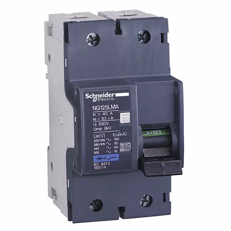 Interruttore automatico Schneider Electric NG125LMA, 2 poli, 40 A, caratteristica MA 18874